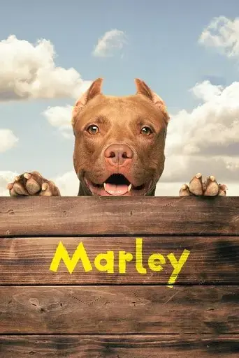 marley-2022