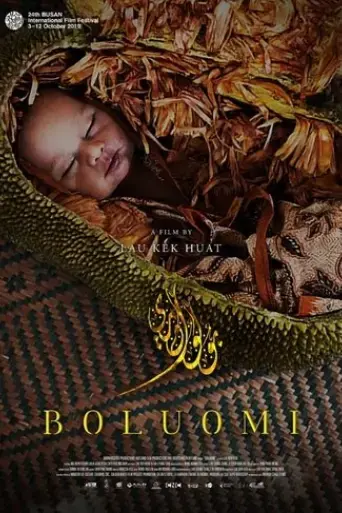 boluomi-2019