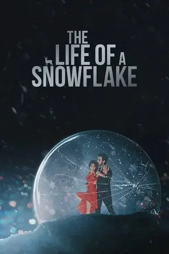 the-life-of-a-snowflake-2022