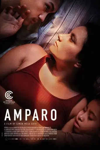 amparo-2022