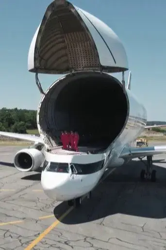 beluga-xl-2019