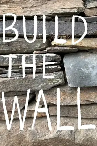 build-the-wall-2020