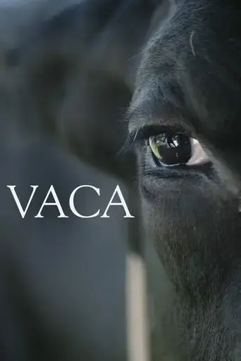 vaca-2018