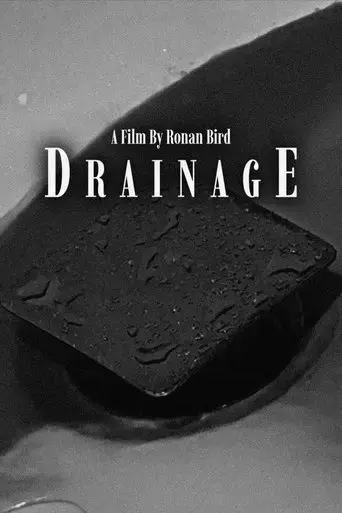 drainage-2025