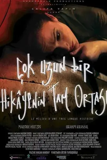 cok-uzun-bir-hikayenin-tam-ortasi-2013