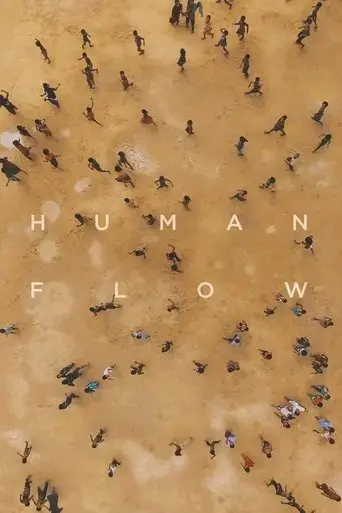 human-flow-2017