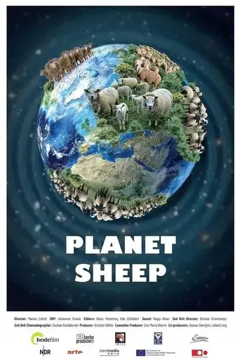 planet-sheep-2022