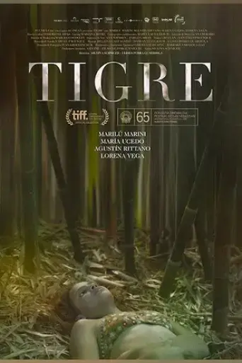 tigre-2017
