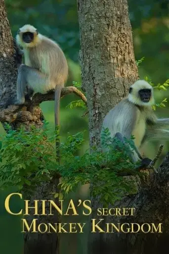 china-s-secret-monkey-kingdom-2021