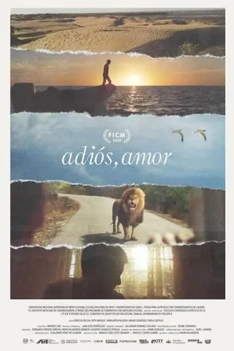 adios-amor-2025