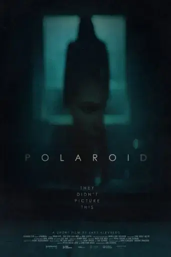 polaroid-2015