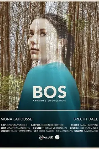 bos-2019