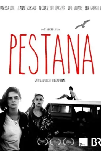 pestana-2017