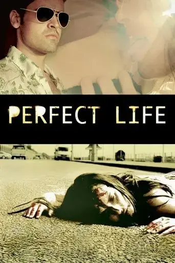 perfect-life-2010
