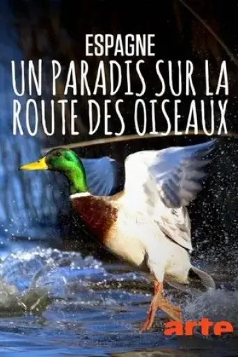 espagne-un-paradis-sur-la-route-des-oiseaux-2024