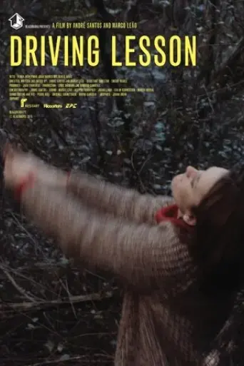driving-lesson-2015