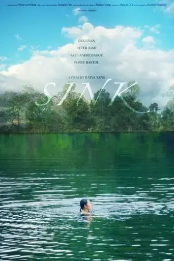 sink-2024