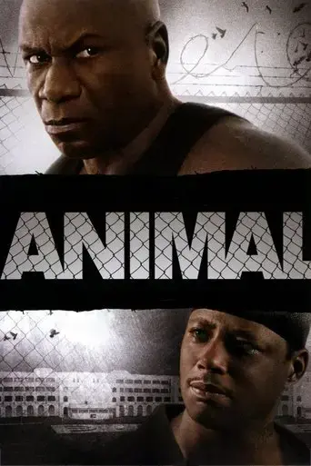animal-2005