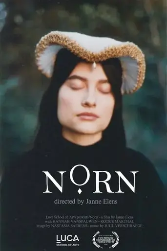 norn-2018