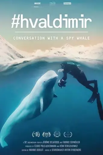 hvaldimir-conversation-with-a-spy-whale-2024