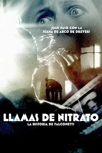 llamas-de-nitrato-2015