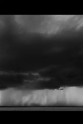 pulse-2017
