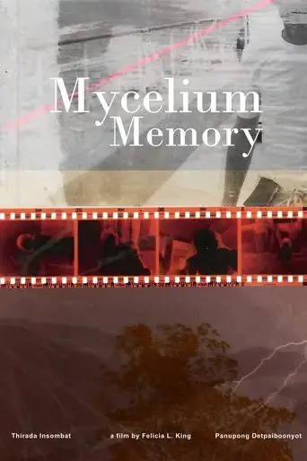mycelium-memory-2024