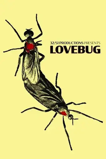 lovebug-2022