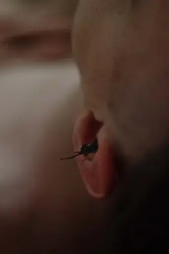 zashlo-2019