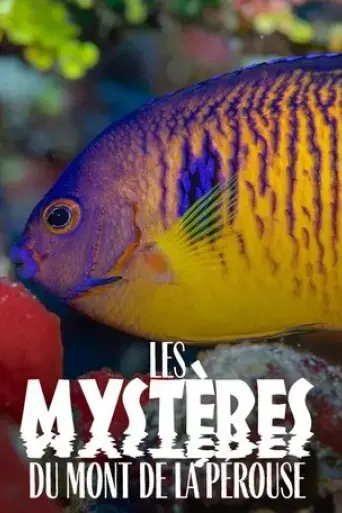the-mysteries-of-mont-la-perouse-2021