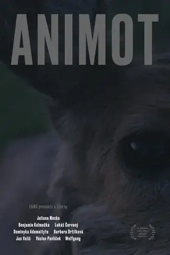 animot-2022