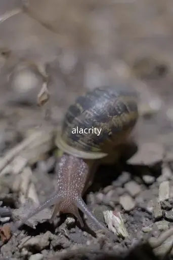alacrity-2024