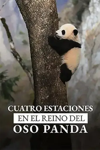 four-seasons-in-the-giant-panda-s-kingdom-2022
