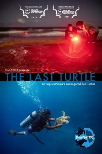 the-last-turtle-2019