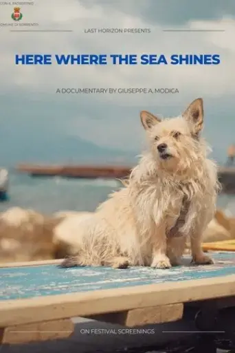 here-where-the-sea-shines-2025