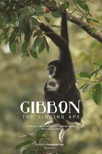 the-singing-ape-gibbon-2017