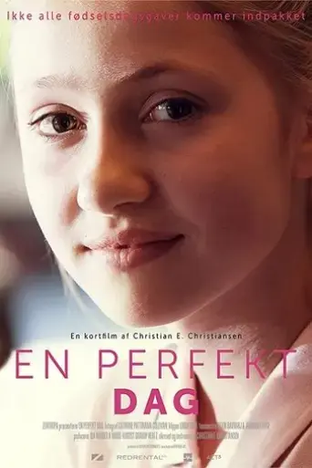 en-perfekt-dag-2017