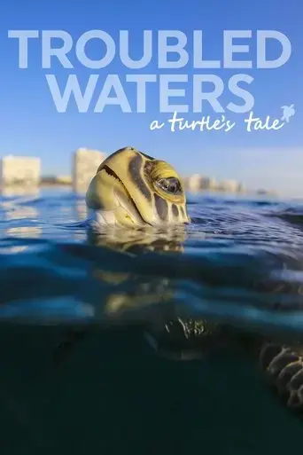 troubled-waters-a-turtle-s-tale-2019