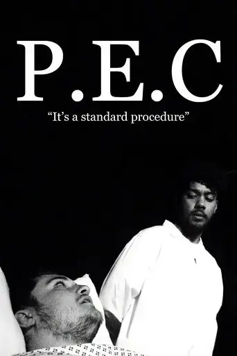 p-e-c-2024