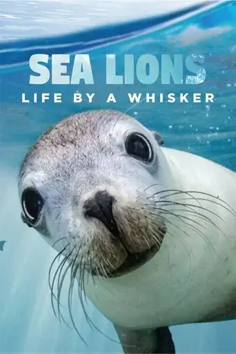 sea-lions-life-by-a-whisker-2020