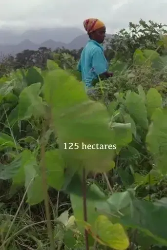 125-hectares-2019