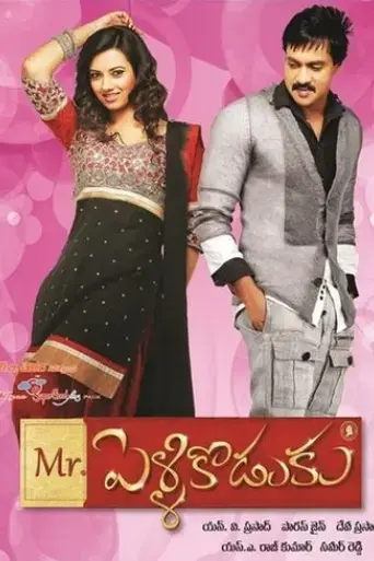 mr-pellikodukku-2013