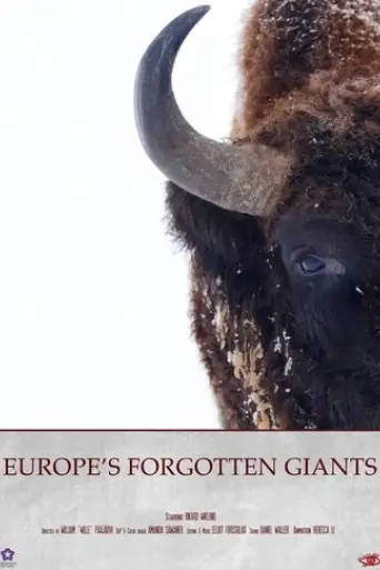 europe-s-forgotten-giants-2025