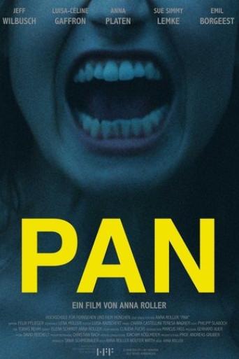 pan-2017