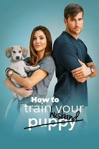 how-to-train-your-husband-or-how-to-pick-your-second-husband-first-2018