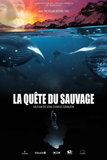 la-quete-du-sauvage-2020