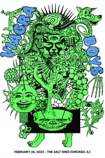 viagra-boys-live-at-the-salt-shed-2024