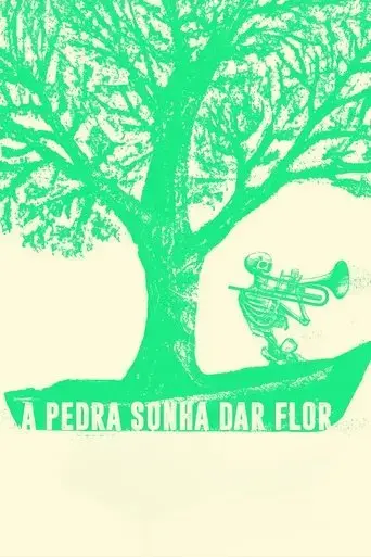 a-pedra-espera-dar-flor-2024