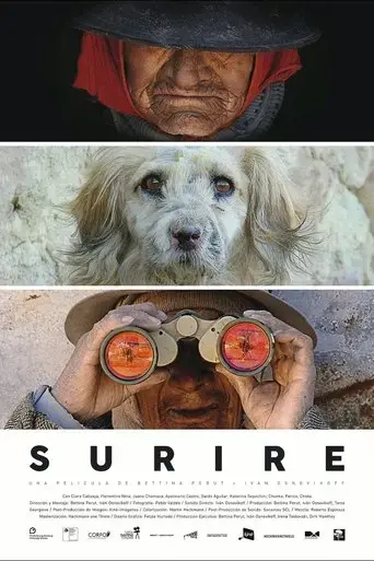 surire-2015