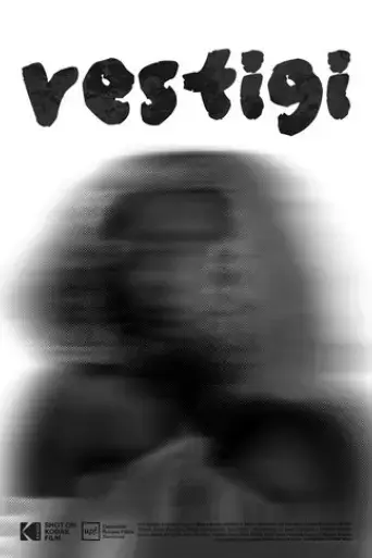 vestigi-2024
